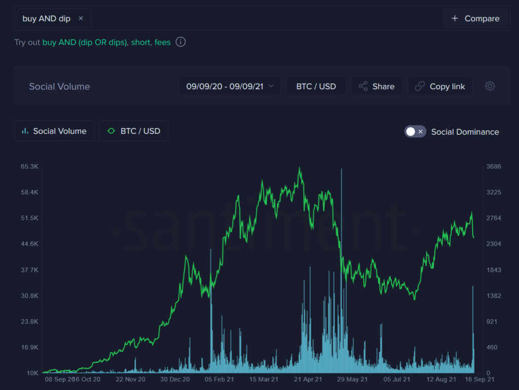 coinprojesi dip