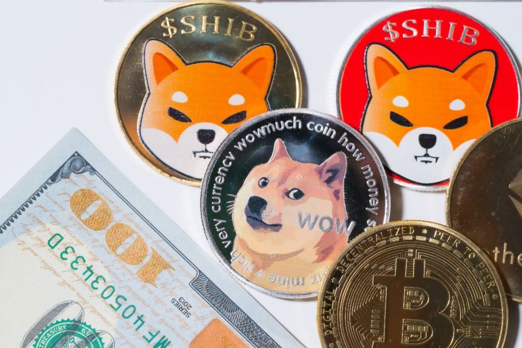 coinprojesi.com dogecoin shiba inu 1