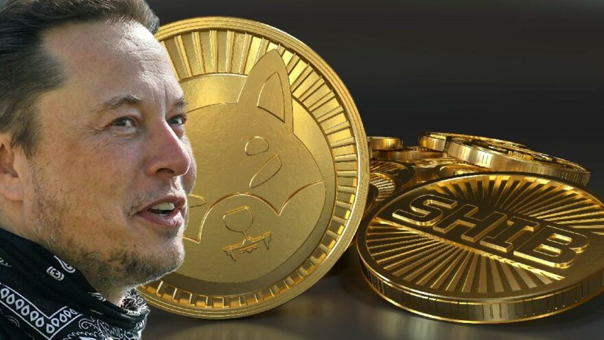 coinprojesi.com musk 16 9 1633601997 880x495 1