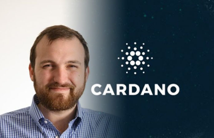 coinprojesi.com charles hoskinson cardano ceo ada