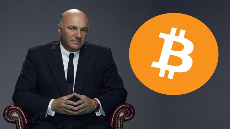 coinprojesi.com kevin oleary