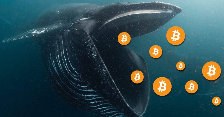 coinprojesi.com bitcoin whale alert scaled 1