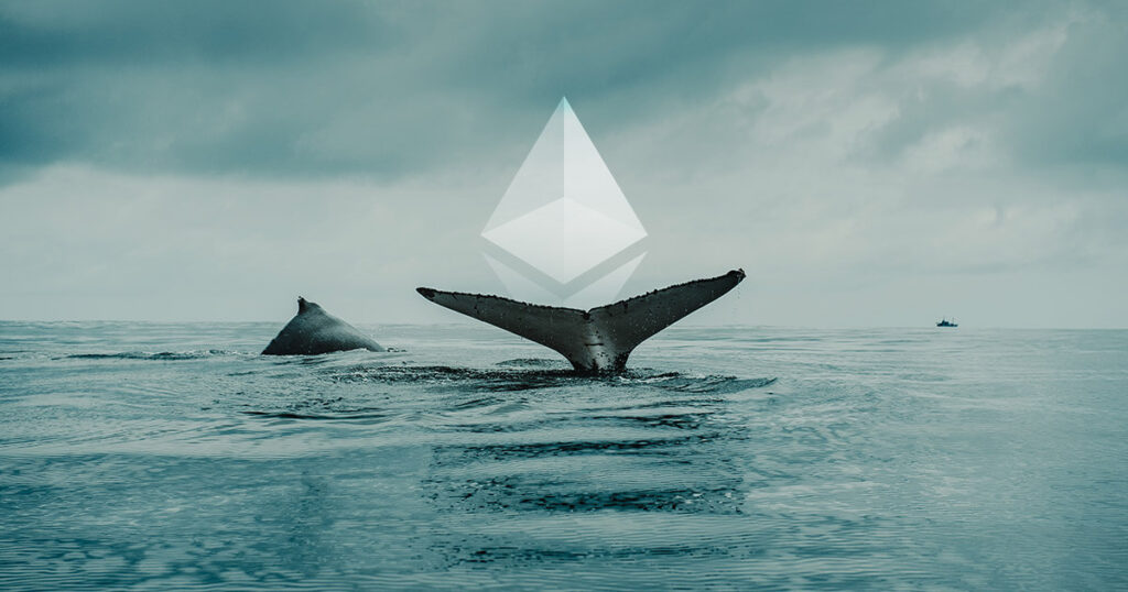 coinprojesi.com ethereum whale