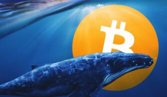 Tarihin En Büyük Bitcoin Balinalarından Biri 913 Milyon Dolar BTC Taşıdı! 7 coinprojesi.com-picbc92e9de29294b322540530a57b14726-1