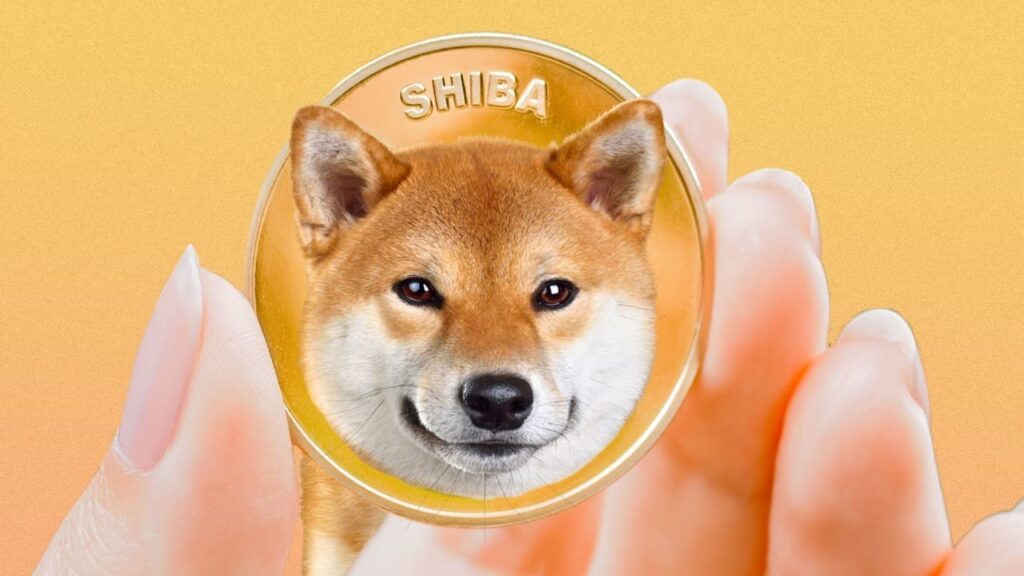 coinprojesi.com shiba inu