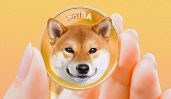 Shiba Inu (SHIB) Fiyat Değerlendirmesi: 26 Şubat 2023