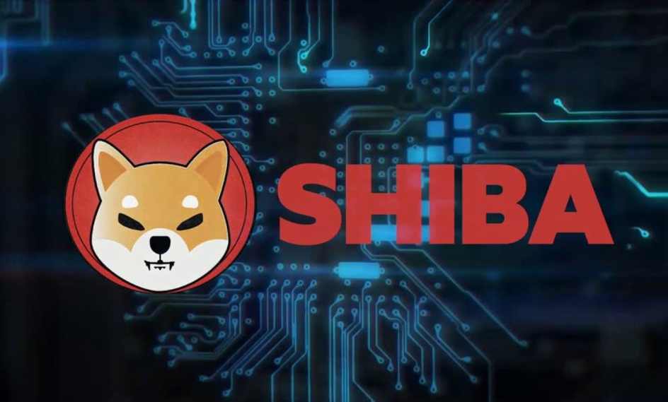 coinprojesi.com shiba