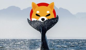 WhaleStats’a Göre Dokuzuncu En Büyük Ethereum Balinası, SHIB Yeni Bir Dönüm Noktası Olarak Milyarlarca Shiba Inu Satın Aldı!