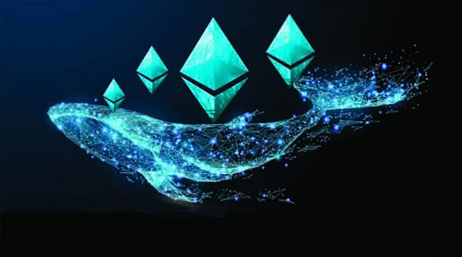 coinprojesi.com ethereum whale