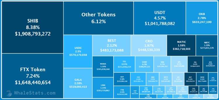 coinprojesi.com