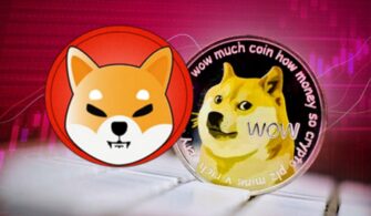 Dogecoin (DOGE) ve Shiba Inu (SHIB) Fiyat Analizi: 7 Aralık 2022