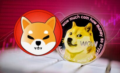 dogecoin - shiba