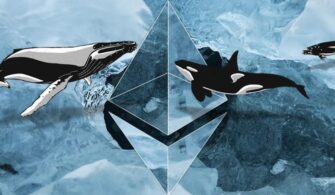 Ethereum Balinaları Belirsiz Bir Pazarda Shiba Inu (SHIB) ve Birkaç DeFi Altcoin'e Yükleniyorlar! 7 coinprojesi.com-asdasr-2
