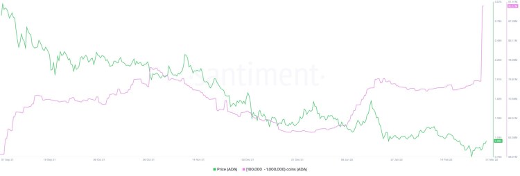 coinprojesi.com saniieo0