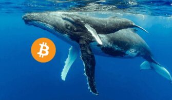 Balinalar Birkaç Devasa Kripto Transferinde Coinbase'e Aniden 152 Milyon Dolar Bitcoin Gönderdi! 8 coinprojesi.com-sdljkfnms-2