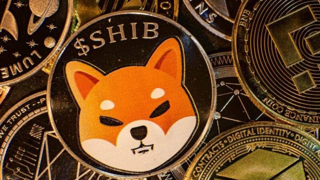 shib