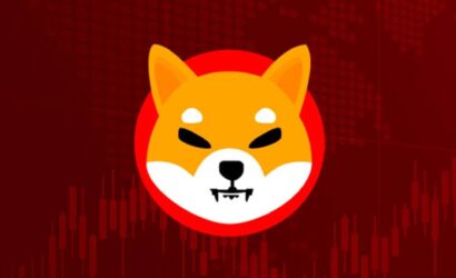 coinprojesi.com-shiba-inu-coin-2022-will-shiba-inu-reach-1-cent-1