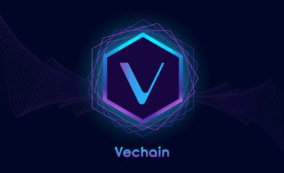 coinprojesi.com-vechain-vet-1-2