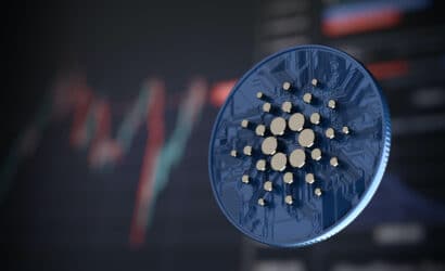 coinprojesi.com-kjasldnkm-2