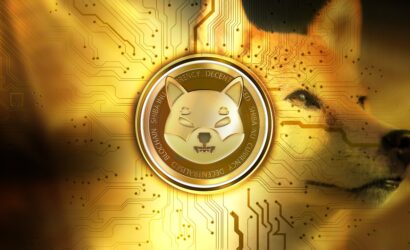shiba