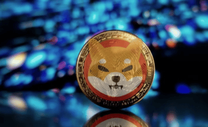 coinprojesi.com-sjdlfnk-2