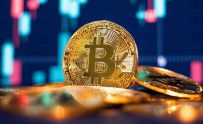 coinprojesi.com-1733811-2