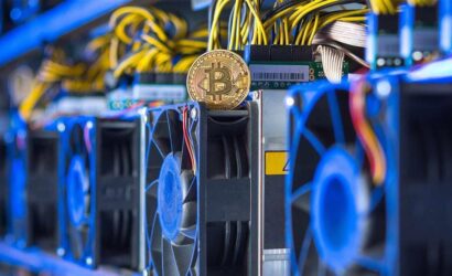 coinprojesi.com-alsjdkj-2