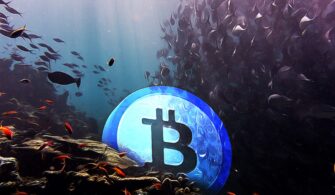 Son Veriler BTC Sahiplerinin %40’ının Su Altında Olduğunu Gösteriyor!