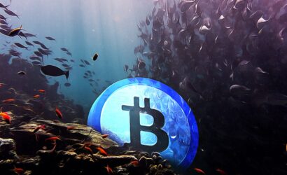 coinprojesi.com-jkaslkd-3