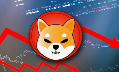 coinprojesi.com-laksjdada-2
