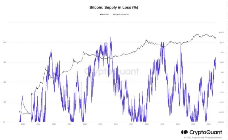 coinprojesi.com 2 bitcoins supply in loss percentage 768x474 1