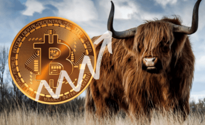 coinprojesi.com-alsdnkamsd-1