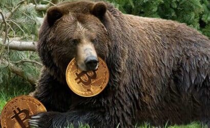 coinprojesi.com-bear-1