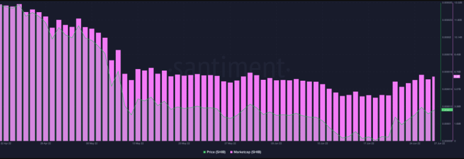 coinprojesi.com shib 3