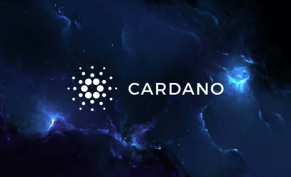 coinprojesi.com-askhdjajs-2