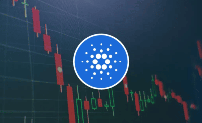coinprojesi.com-lksnad-2