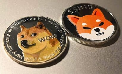 doge-shiba-coinprojesi