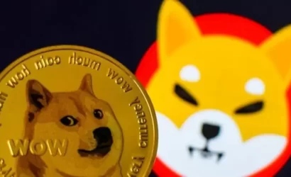 doge-shib-coinprojesi