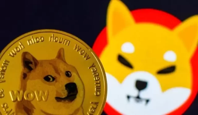 Dogecoin (DOGE) ve Shiba (SHIB) Fiyat Analizi: 31 Aralık 2022