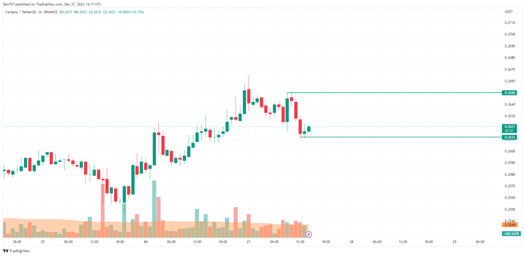 cardano analiz