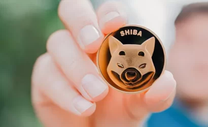 shiba-coinprojesi
