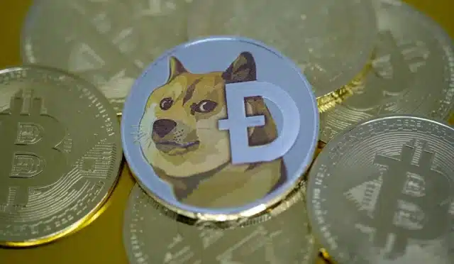 Uzman, Dogecoin'in Yüksek Miktarda Artış Gösterebileceğini İfade Etti 8 doge-saka-parais