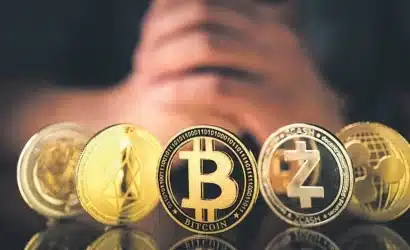 dunyanin-en-iyi-kripto-para-yorumcusu