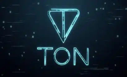 toncoin-2024un-en-buyuk-kazanani-mi-olacak