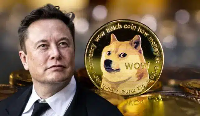 Elon Musk’ın Dogecoin Cüzdanı Hakkındaki Gerçek: Söylenti ve Gerçekler