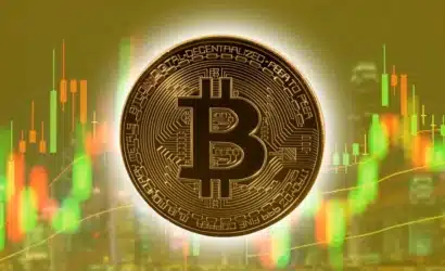 bitcoin-balinalari-geri-dondu-son-iki-haftanin-en-buyuk-birikimi