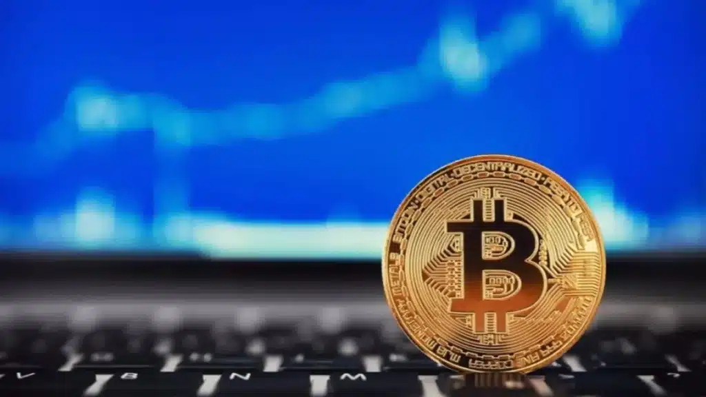 bitcoin boga piyasasi yakin mi