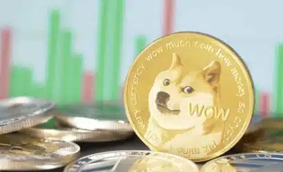 dogecoin-boga-donemi-yakin-mi