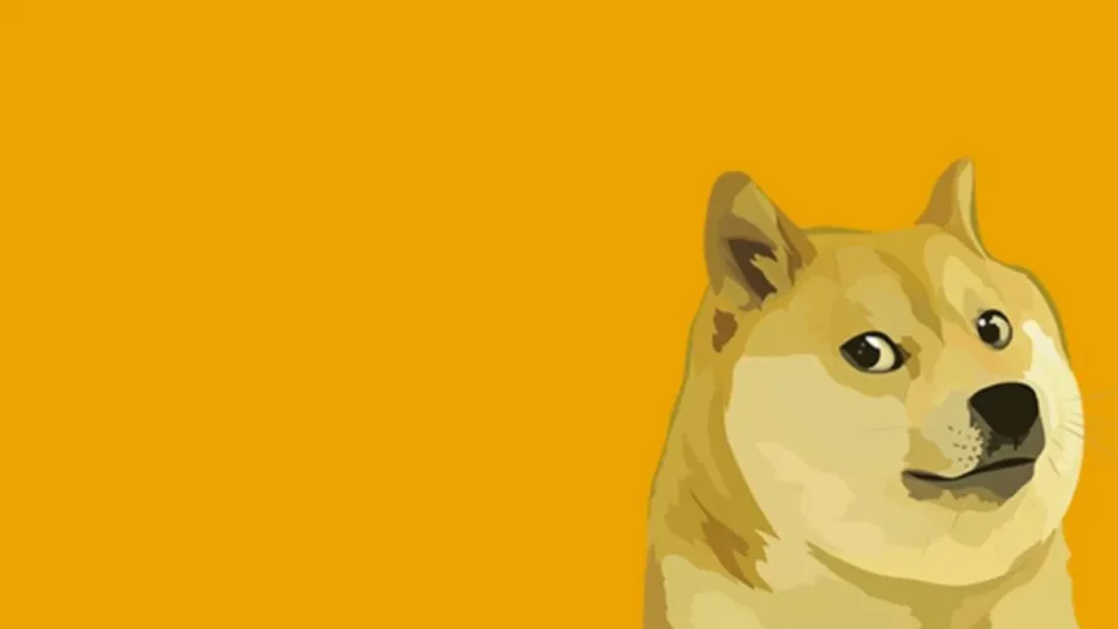 dogecoin ve kabosunun bagi