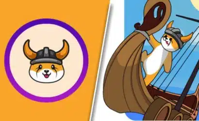 floki-inuyu-ucusa-tasiyan-guc-memecoin-rallisi